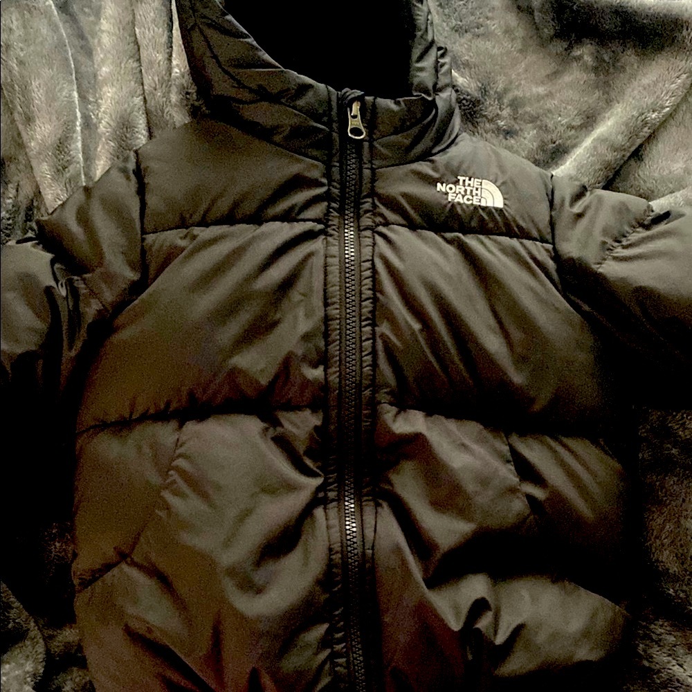 The North Face Black Sherpa Lined Hooded Puffer Jacket